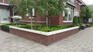 Hovenier onderhoudstuin Barendrecht