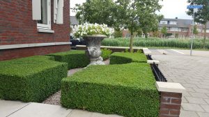 Hovenier onderhoudstuin Barendrecht