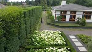 Hagen knippen Prinsenbeek