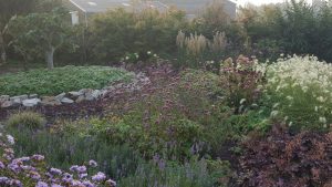 Aanplant project Ridderkerk