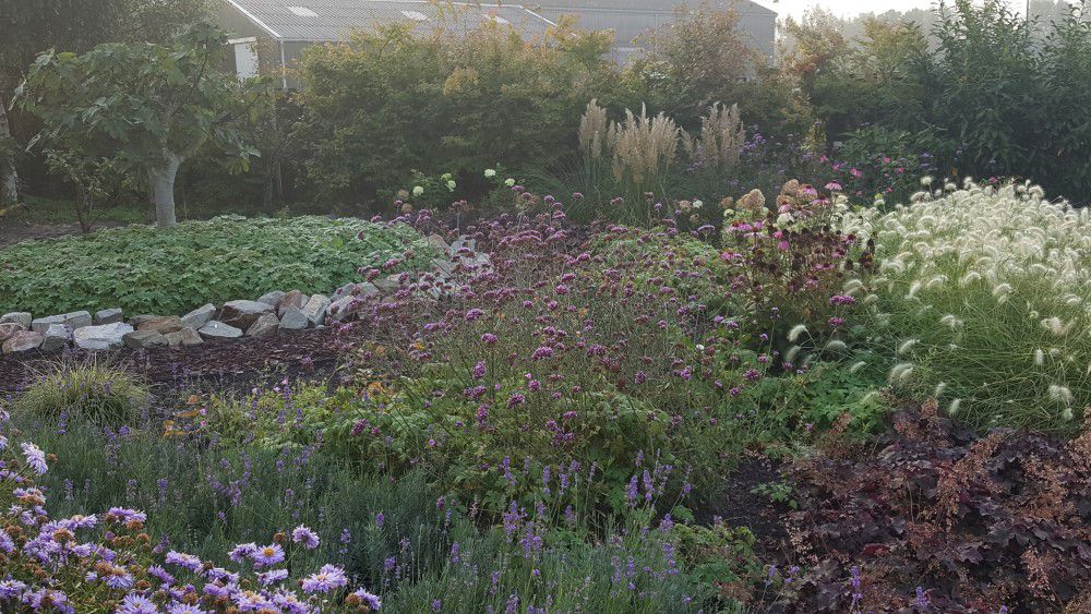 Aanplant project Ridderkerk