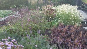 Aanplant project Ridderkerk