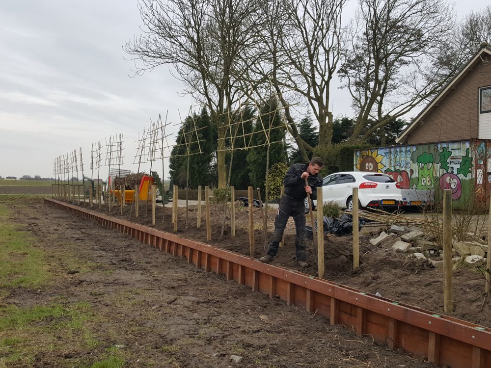 Beschoeiing Westmaas