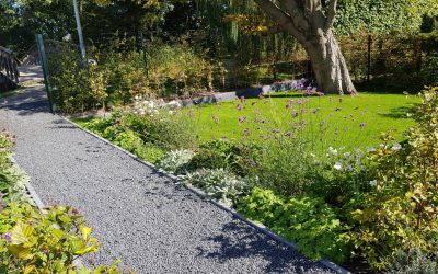 Aanleg tuin