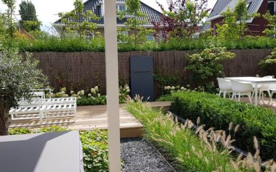 Tuinonderhoud Schiedam
